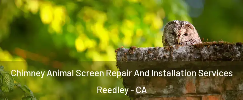  Chimney Animal Screen Repair And Installation Services Reedley - CA