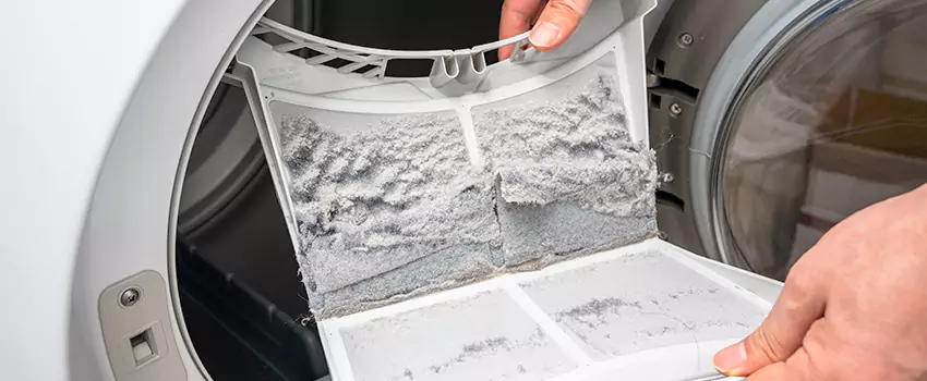 Best Dryer Lint Removal Company in Reedley, California
