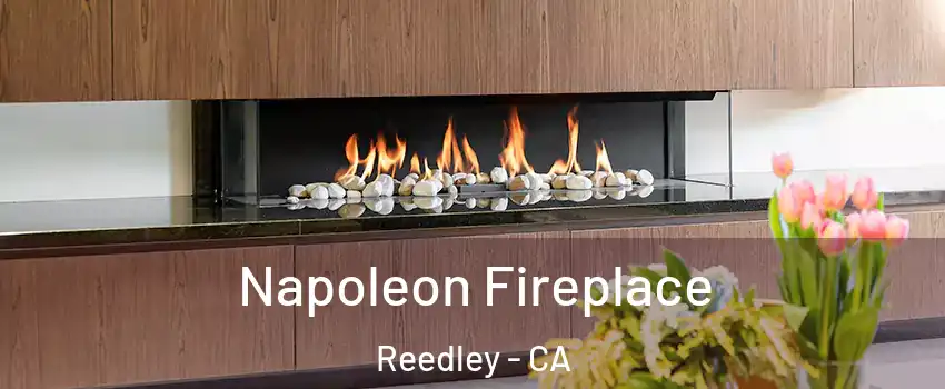  Napoleon Fireplace Reedley - CA